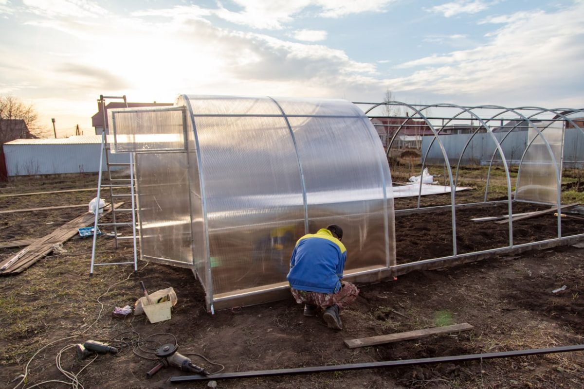полікарбонат це